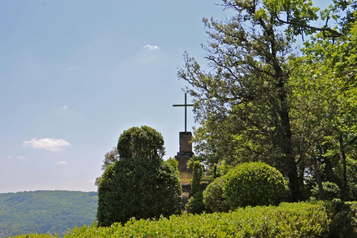 Dans les jardins suspendus de Marqueyssac. - Vézac