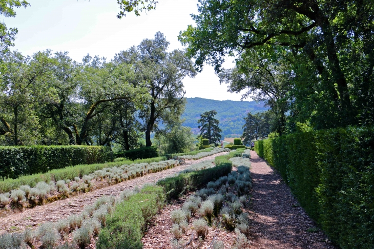 Les jardins suspendus de Marqueyssac. - Vézac