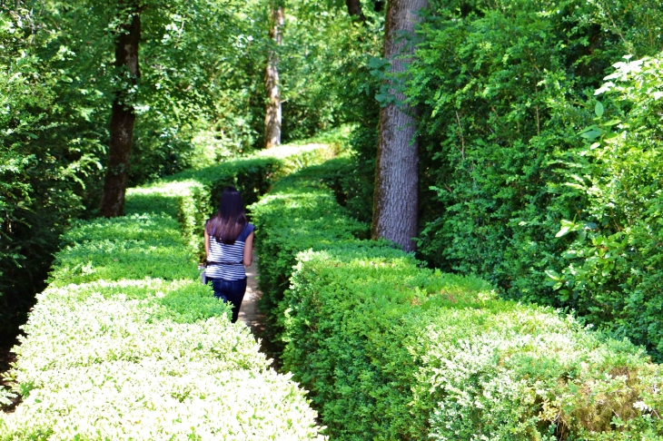 Les jardins suspendus de Marqueyssac. - Vézac