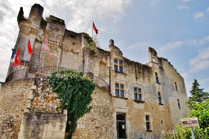 Château de Barrière  - Villamblard