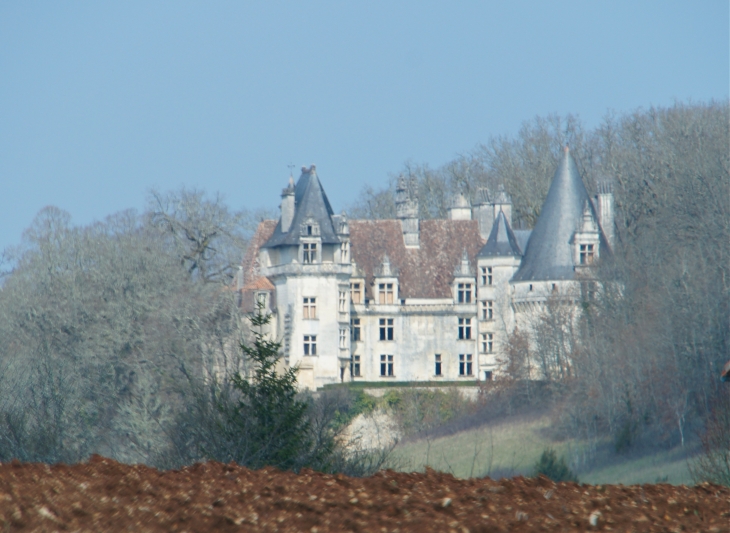 Le château de Puyguilhem.(XVIe siècle) - Villars