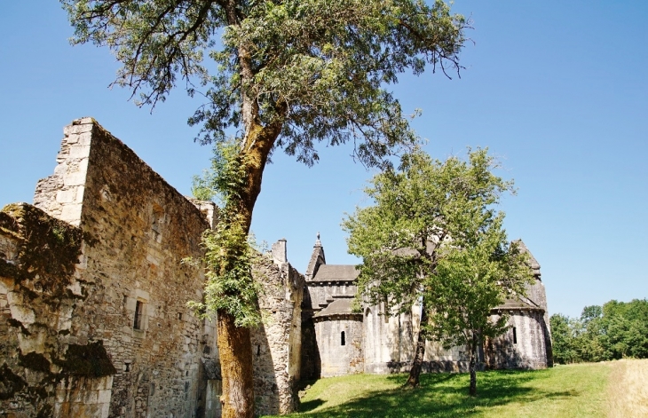 Ruines de l-Abbaye -de-Boschaud - Villars