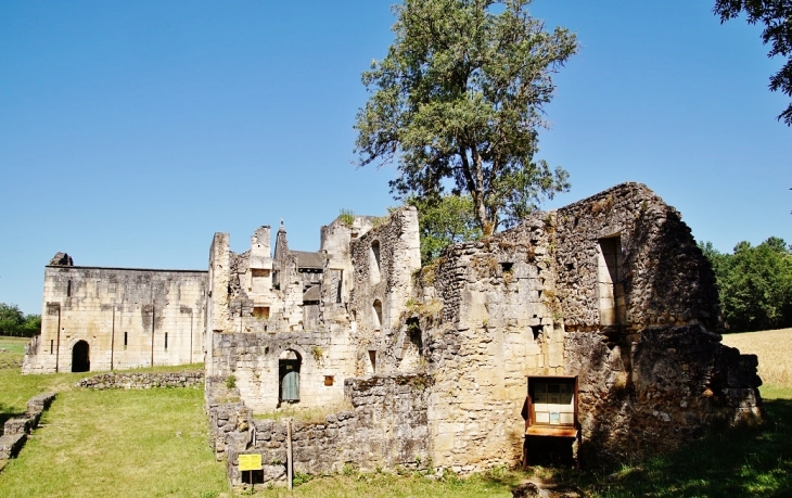 Ruines de l-Abbaye -de-Boschaud - Villars