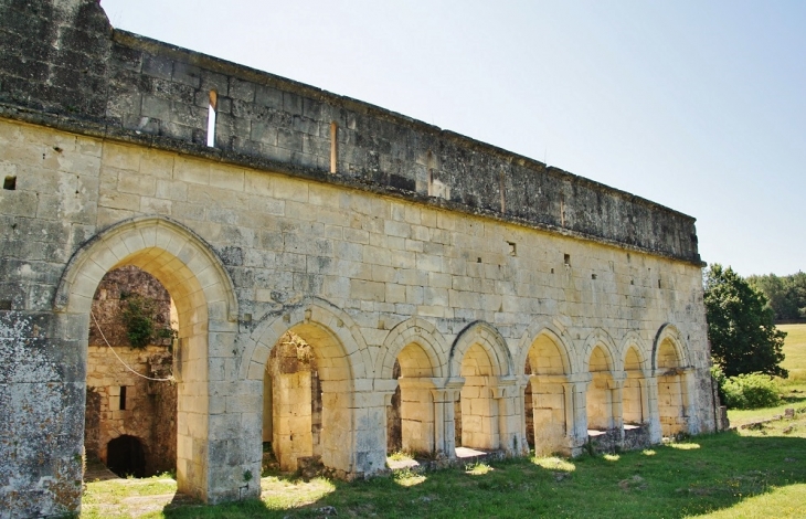 Ruines de l-Abbaye -de-Boschaud - Villars