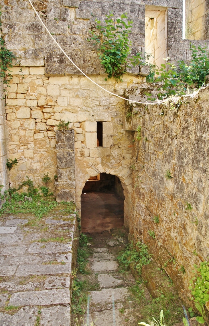 Ruines de l-Abbaye -de-Boschaud - Villars