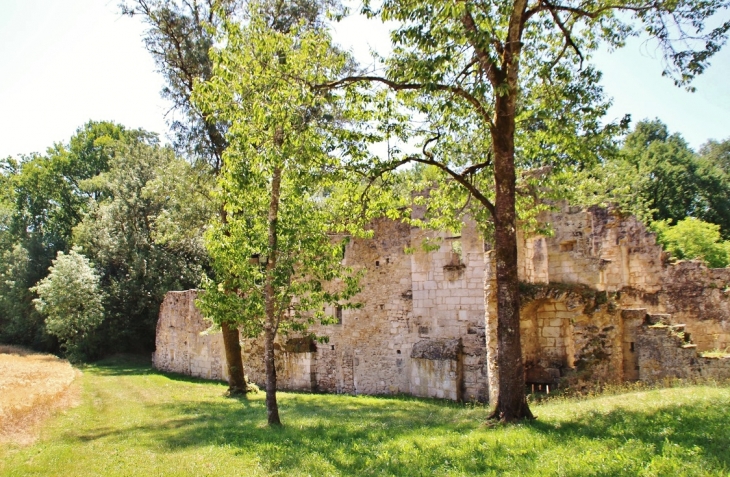 Ruines de l-Abbaye -de-Boschaud - Villars