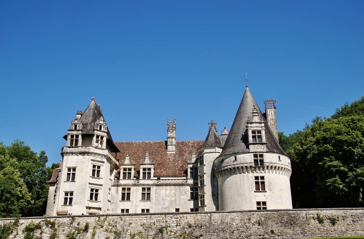 Château de Puyguilhem - Villars