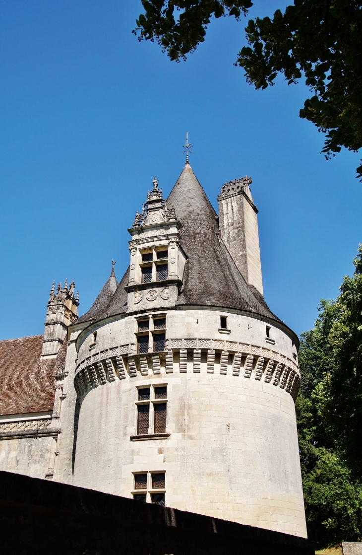 Château de Puyguilhem - Villars