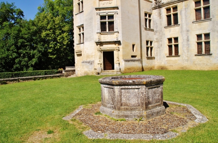 Château de Puyguilhem - Villars