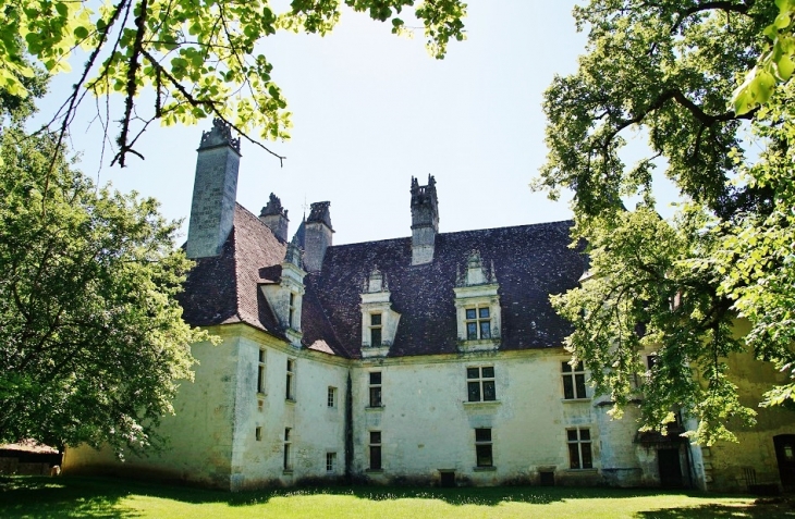 Château de Puyguilhem - Villars