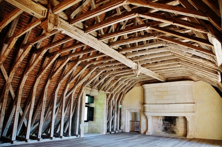 Château de Puyguilhem - Villars