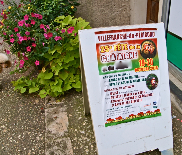 25ème Fête de la Châtaigne. - Villefranche-du-Périgord