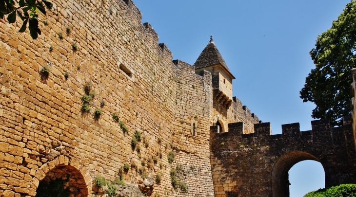 Château de Montfort ( Vitrac )