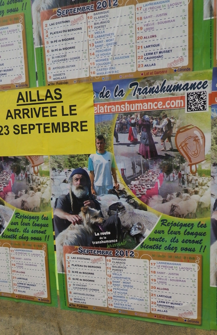 Affiche annonçant l'arrivée du troupeau de mouton en transhumance de puis les Pyrénées. - Aillas