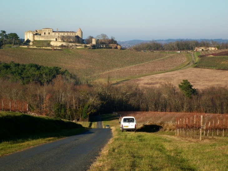 Le château de Benauge dans son environnement. - Arbis