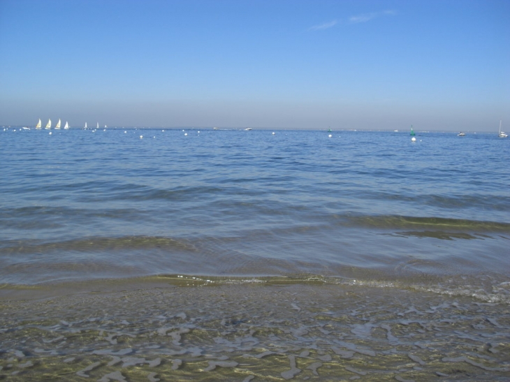 Le bassin - Arcachon