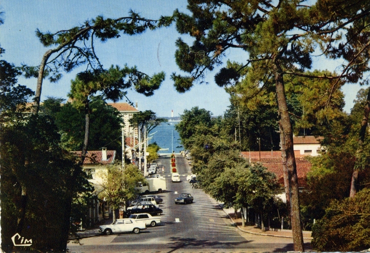 Le MOULLEAU - Prerspective sur le bassin et le cap Ferret (carte postale de 1969) - Arcachon