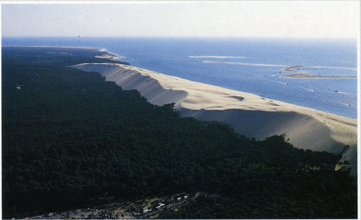 La grande Dune de Pyla, la plus haute d'Europe 117m (carte postale de 1990) - Arcachon