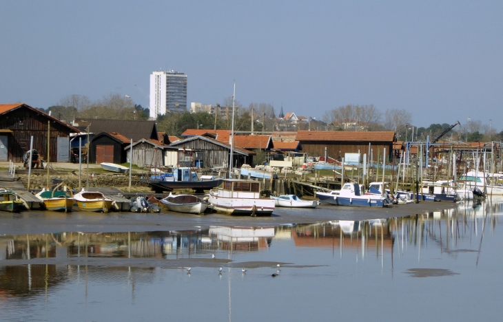 Le port de l'Aiguillon - Arcachon