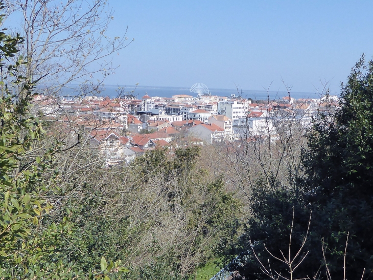 La ville vue du belvédère - Arcachon