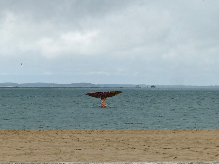 La plage - Arcachon