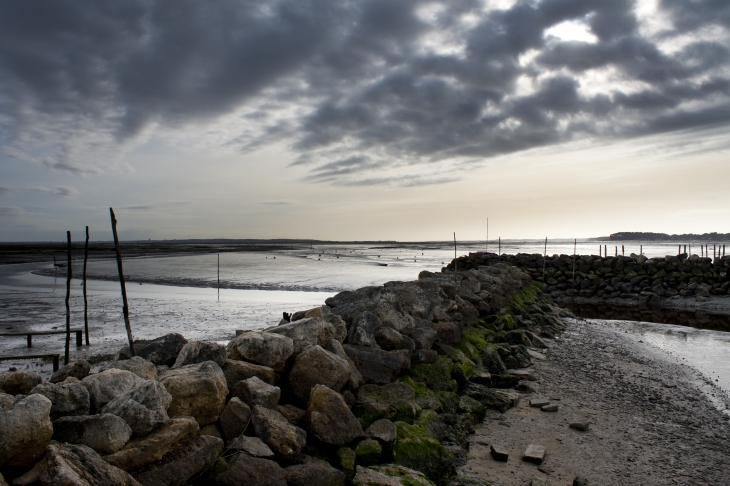  Arès - Port ostréicole 