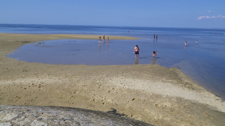 A l'entrée du port, la plage sur le bassin d'Arcachon. - Audenge