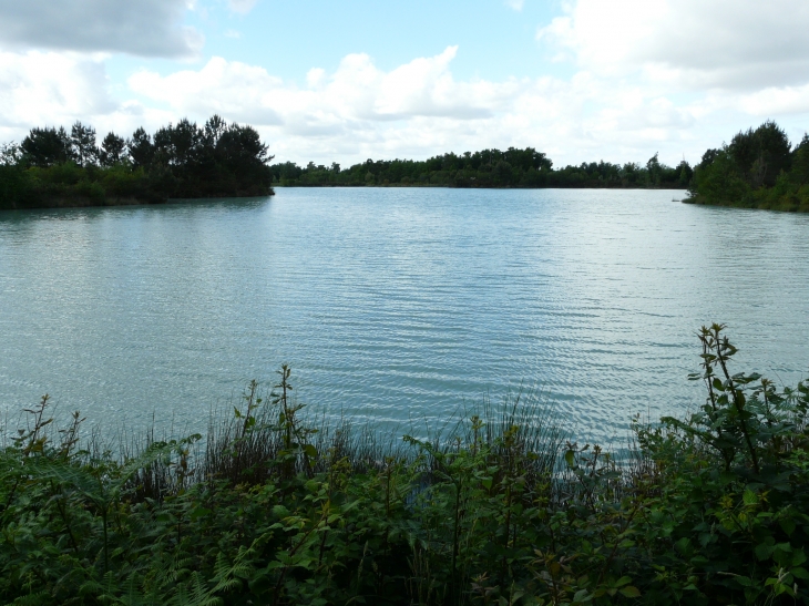 Etang des Jaugas - Avensan