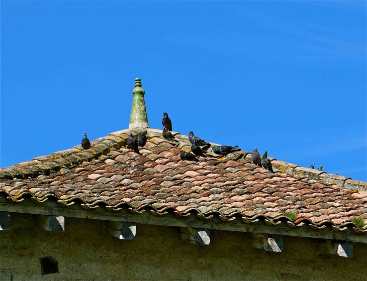 Sur le toit du moulin fortifié - Bagas