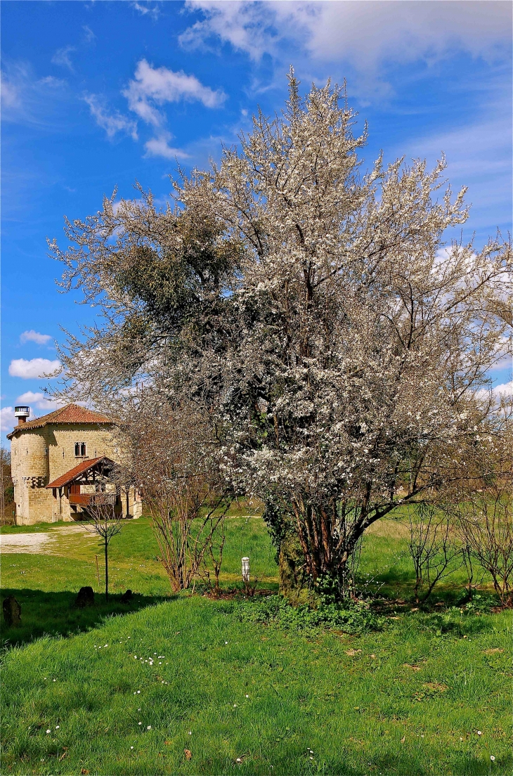 Près du moulin fortifié - Bagas