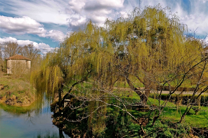 Le Dropt et le moulin fortifié - Bagas