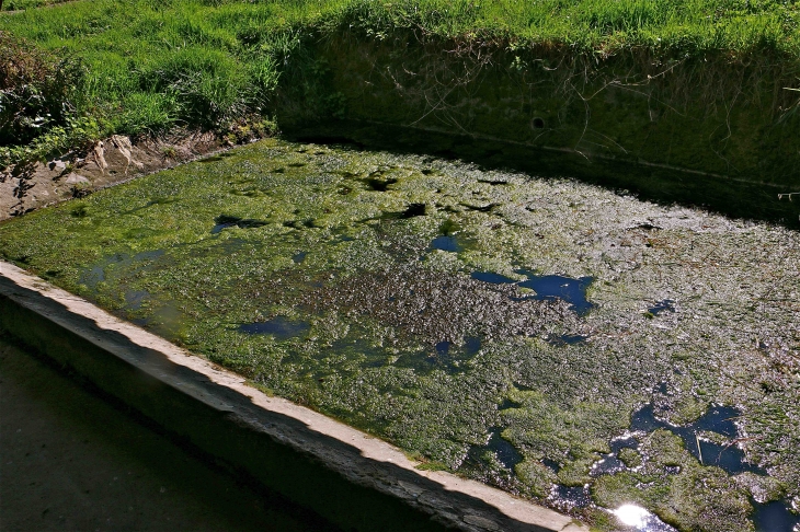 Le Lavoir - Bagas