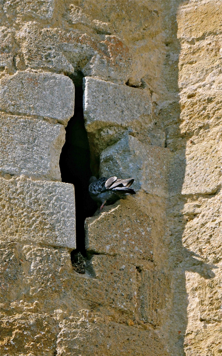 Le moulin fortifié - Bagas