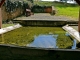 Le lavoir