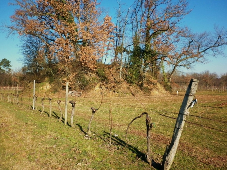 Motte Maucour, motte féodale édifiée par les anglais au XIIIème au lieu-dit Plaisance. - Baigneaux