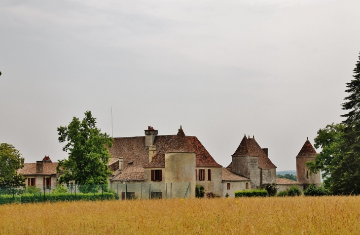 Château de Castagens - Belvès-de-Castillon