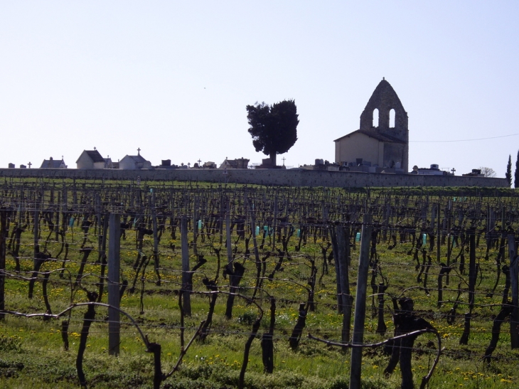 Au milieu des vignes, la chapelle de Piis 13/14ème - Blasimon