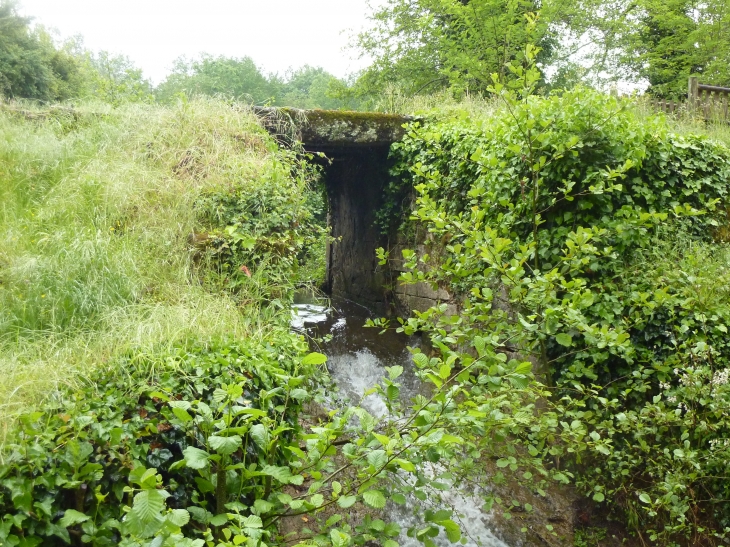 Arrivée de l'eau, mais d'où ? - Blasimon