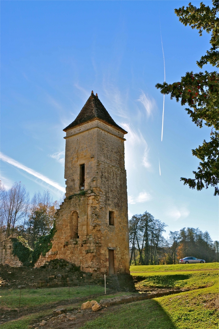 L'abbaye Saint Nicolas - Blasimon