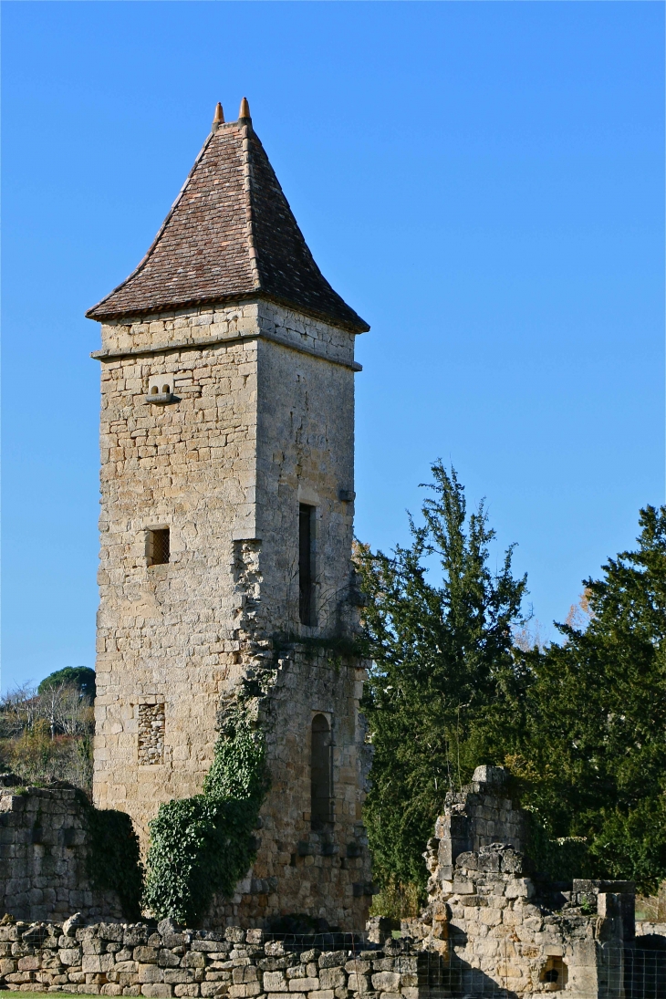 L'abbaye Saint Nicolas - Blasimon