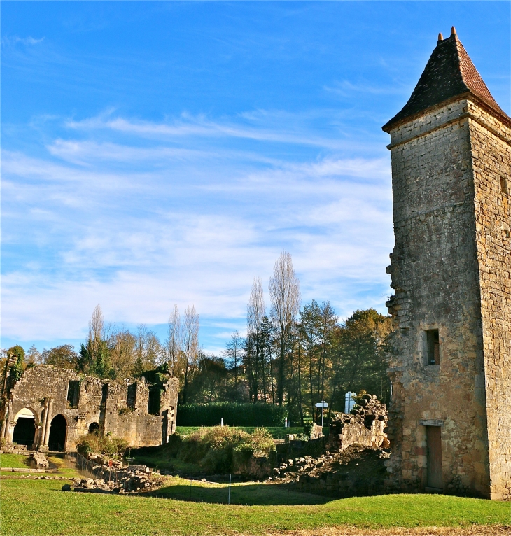 L'abbaye Saint Nicolas - Blasimon