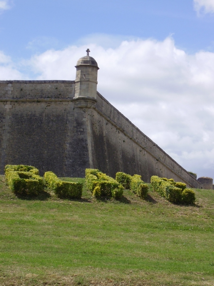 Copie_de_p7070066 - Blaye