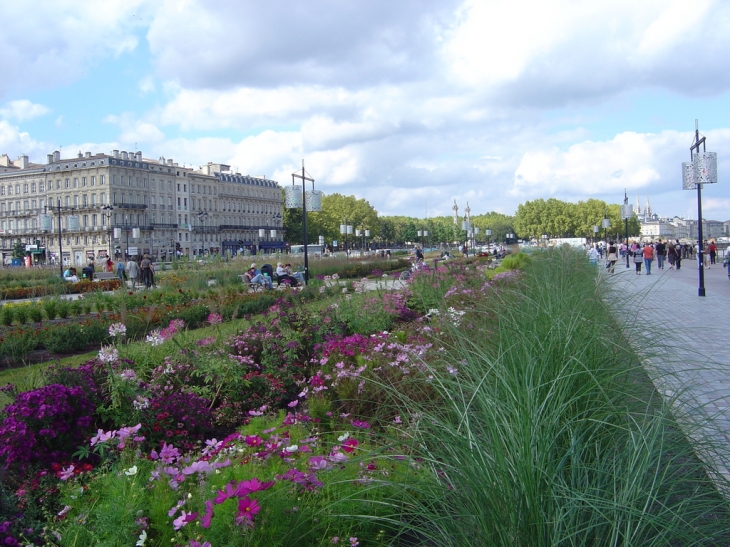 Les quais - Bordeaux