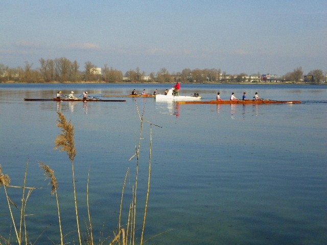 Entrainement du club d'aviron sur le lac de Bordeaux.