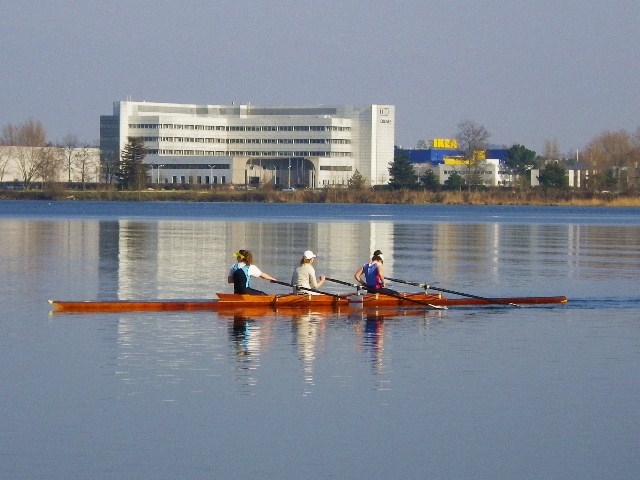 Entrainement du club d'aviron sur le lac de Bordeaux.