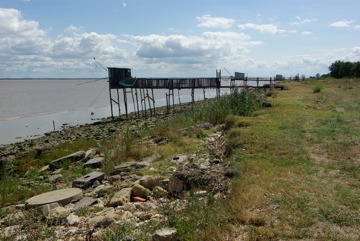 Pauillac - Bordeaux