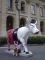 Photo précédente de Bordeaux Une vache de la Cow Parade sur les quais.