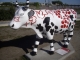 Photo suivante de Bordeaux Vachement belle la vache de la Cow Parade !!!