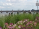 Photo suivante de Bordeaux Depuis les quais: le pont de pierre