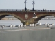 Photo suivante de Bordeaux Mouettes sur le ponton d'honneur prés du Pont de Pierre.